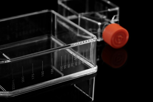 175細胞培養(yǎng)瓶