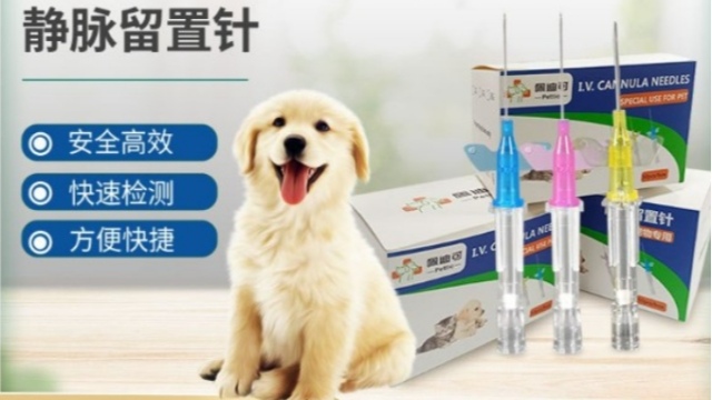 寵物留置針：為寵物醫(yī)療帶來便利與關(guān)懷
