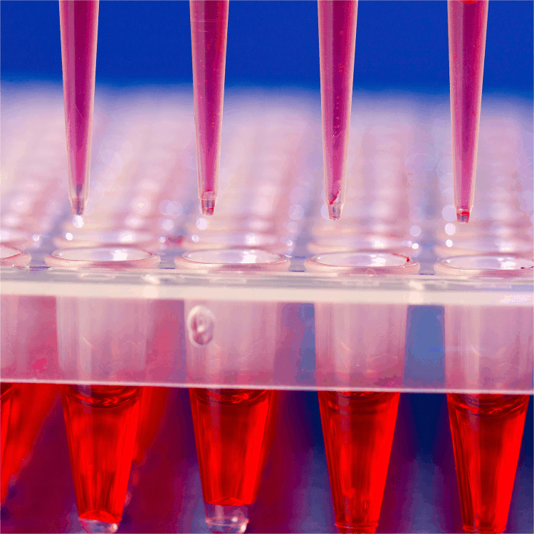 預告·第91屆中國國際醫(yī)療器械(春季)博覽會