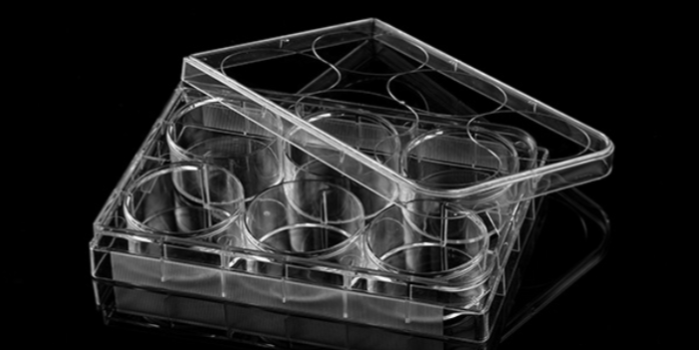 細胞培養(yǎng)板和普通培養(yǎng)板：差異與應用的深度剖析