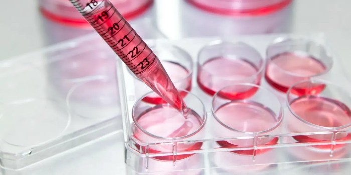 細胞培養(yǎng)皿，助力生命科學研究