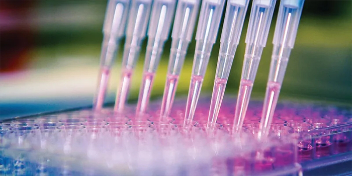 手動(dòng)還是自動(dòng)？選擇最佳移液方法