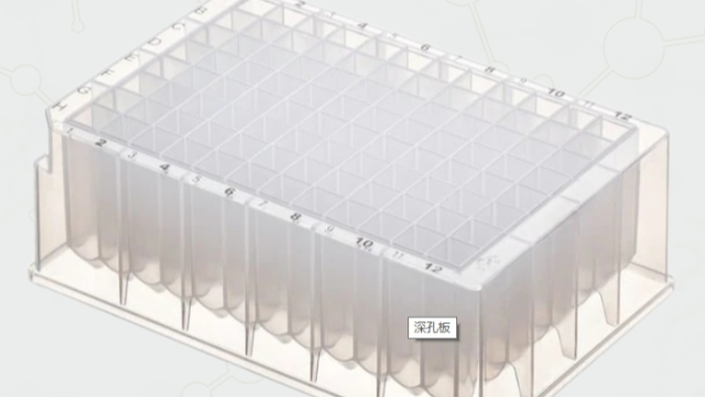 探索 96 深孔板在實驗室中的重要作用