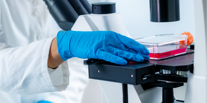 如何進(jìn)行細(xì)胞的傳代培養(yǎng)？