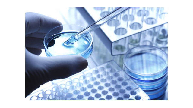 細(xì)胞培養(yǎng)過程中的注意事項