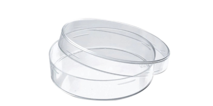 培養(yǎng)皿在種子萌發(fā)實(shí)驗(yàn)中的應(yīng)用