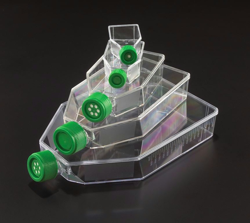 細(xì)胞培養(yǎng)瓶