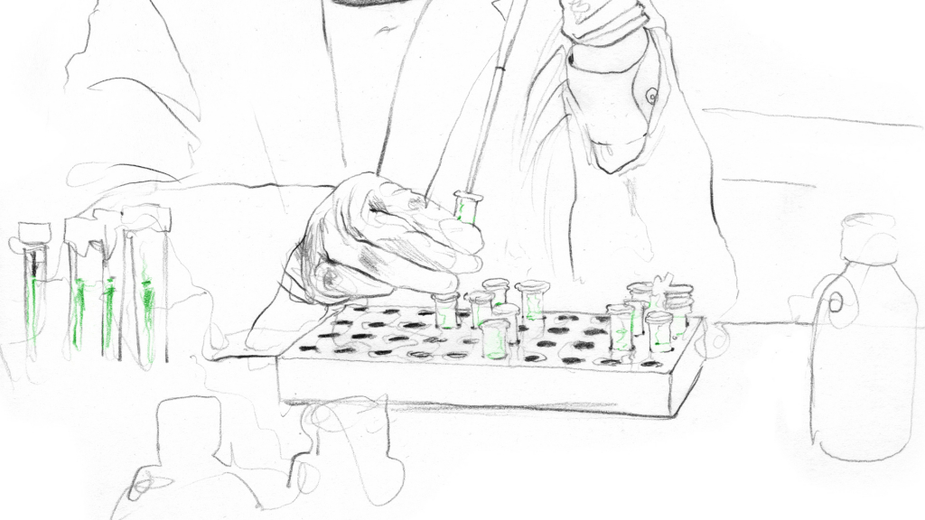 動(dòng)物細(xì)胞培養(yǎng)