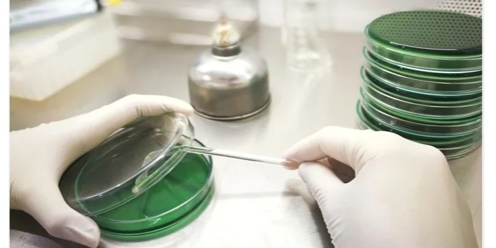 微生物學(xué)中的無菌技術(shù)