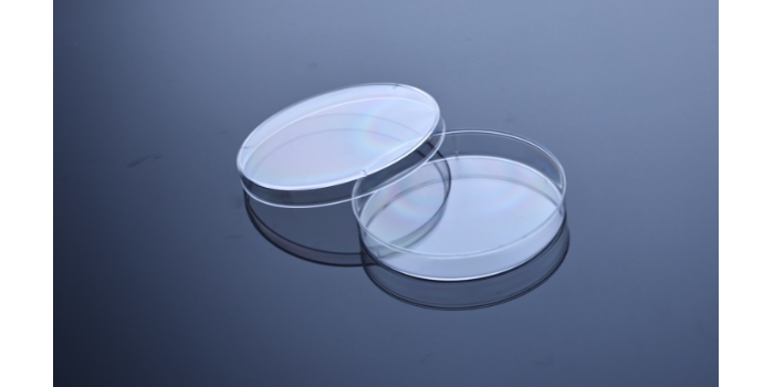 細胞培養(yǎng)：探索生命奧秘的重要技術