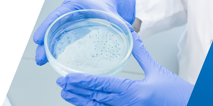 細(xì)胞培養(yǎng)在實(shí)驗(yàn)室研究中的作用是什么？